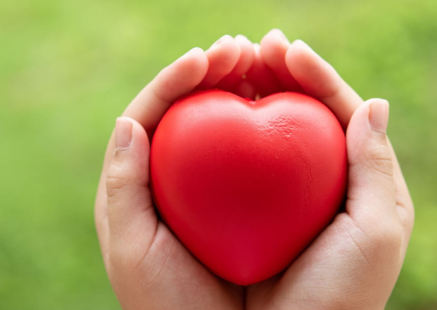 goodheart m1 s3 c